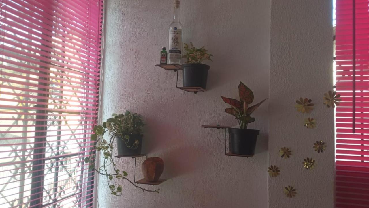 Cat Family Lodging Apartment Cartagena Exterior photo